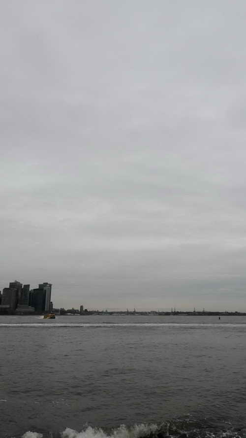 NYC_2020-01-31 16-19-06_P1090054